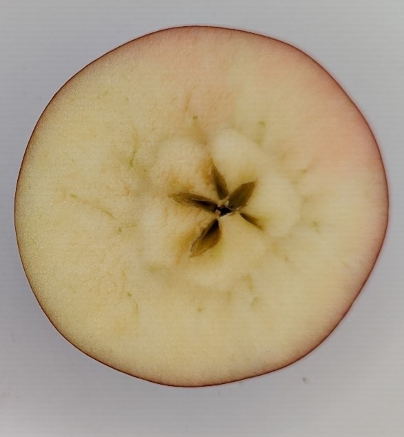 Rome apple cut in half.
